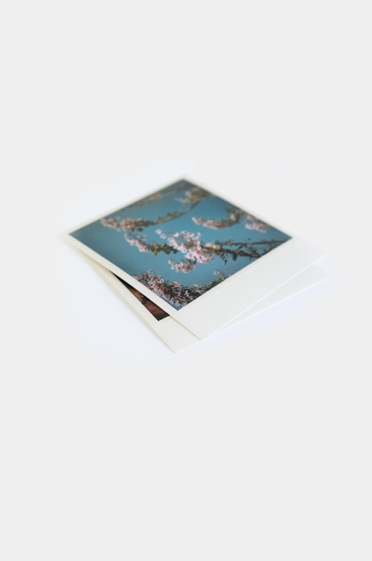 25x Foto Polaroid Look