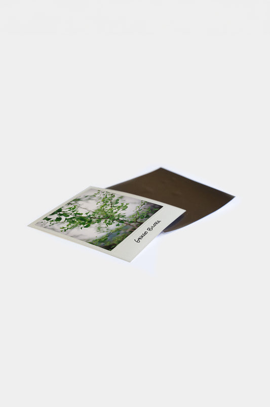 Imán Polaroid Look con Texto