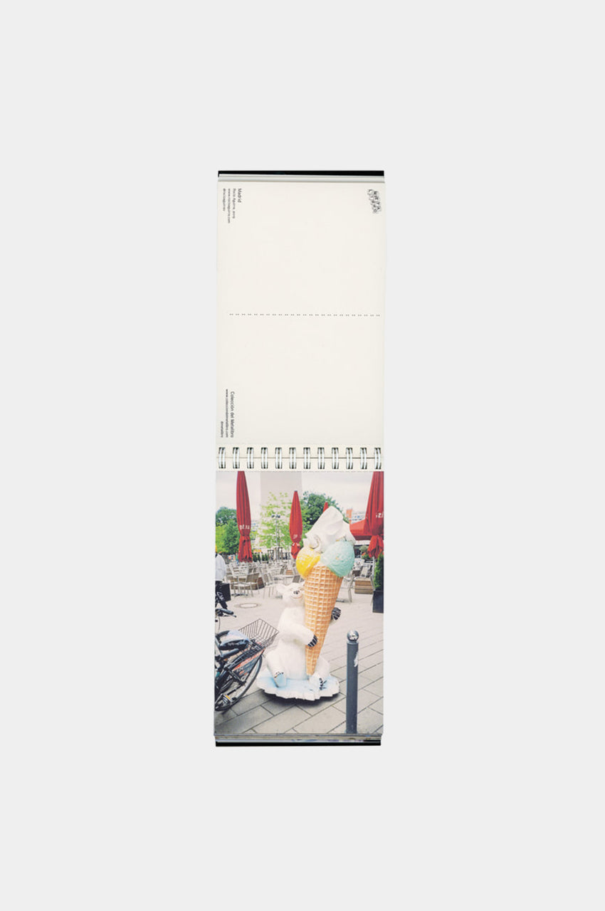 Colección del Metalibro - Rocio Aguirre (10)