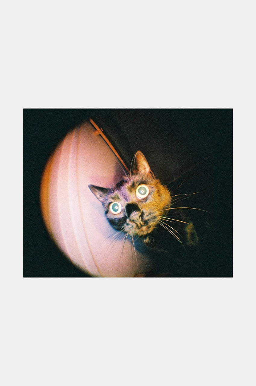 Fisheye Baby 110 Gold