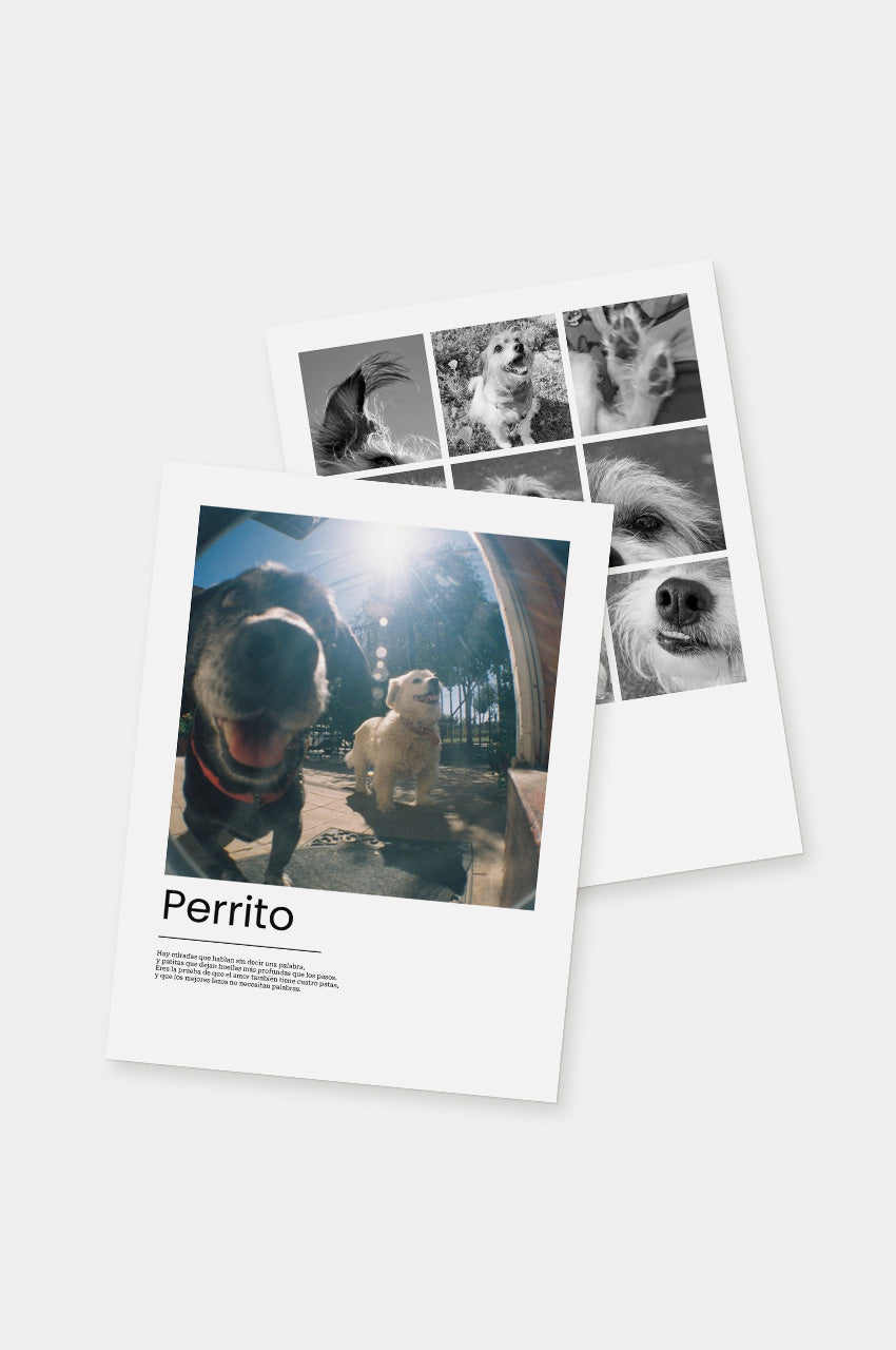 Poster Perrito 30x40