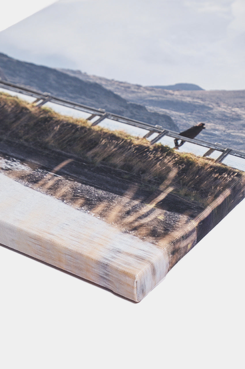 Canvas Fine Art