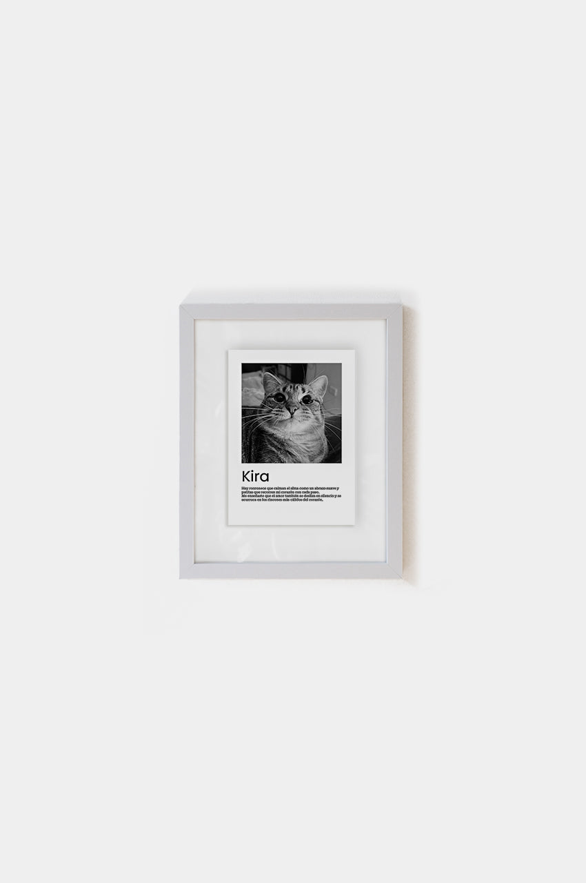 Marco Gatito Entre Vidrios 15x21