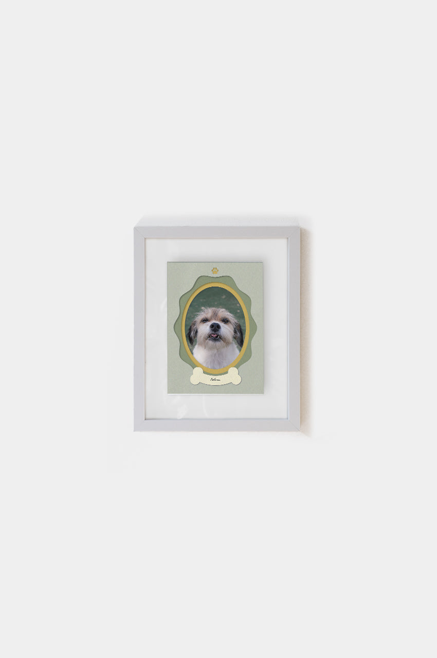 Marco Perrito Entre Vidrios 15x21
