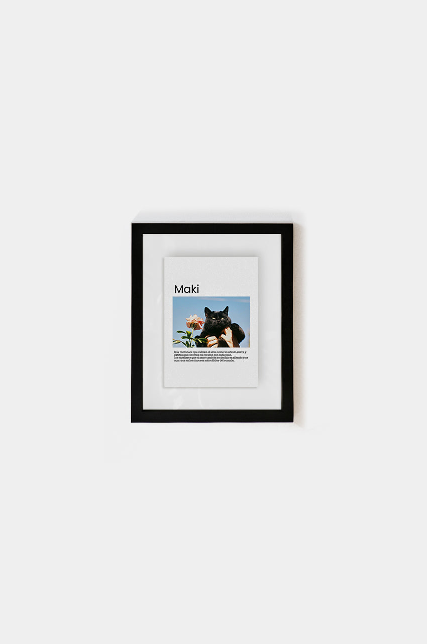Marco Gatito Entre Vidrios 15x21