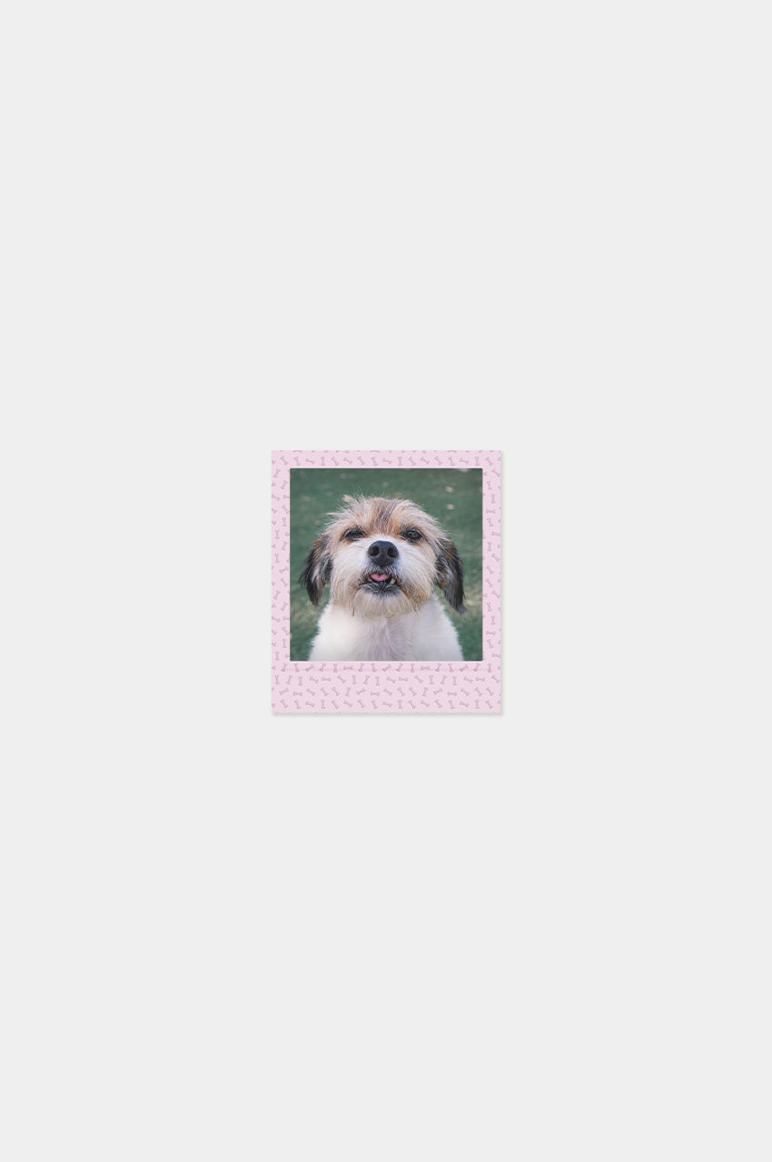 Imán Square Look Perrito Edition