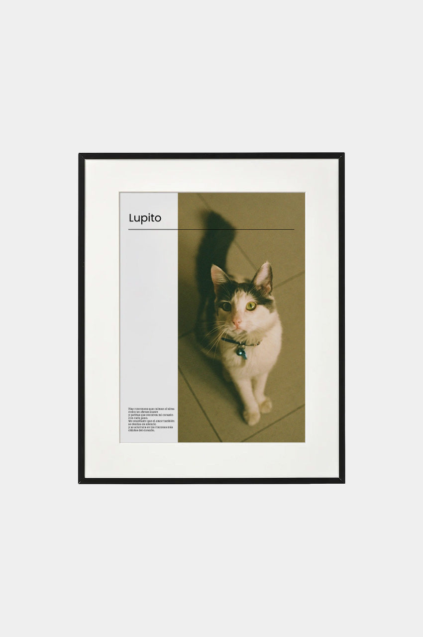 Marco Gatito 40x50 para foto 30x40 Negro