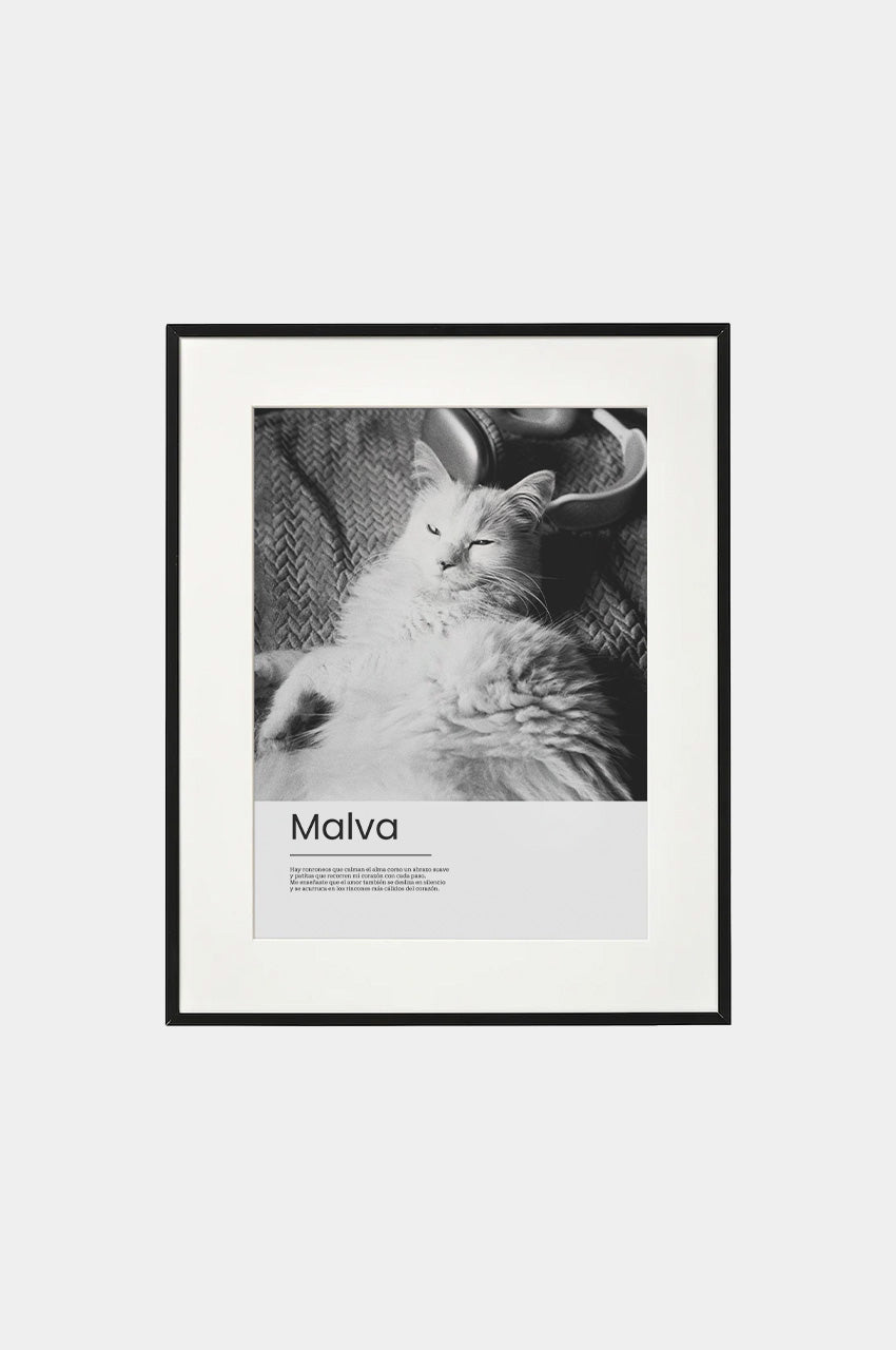 Marco Gatito 40x50 para foto 30x40 Negro