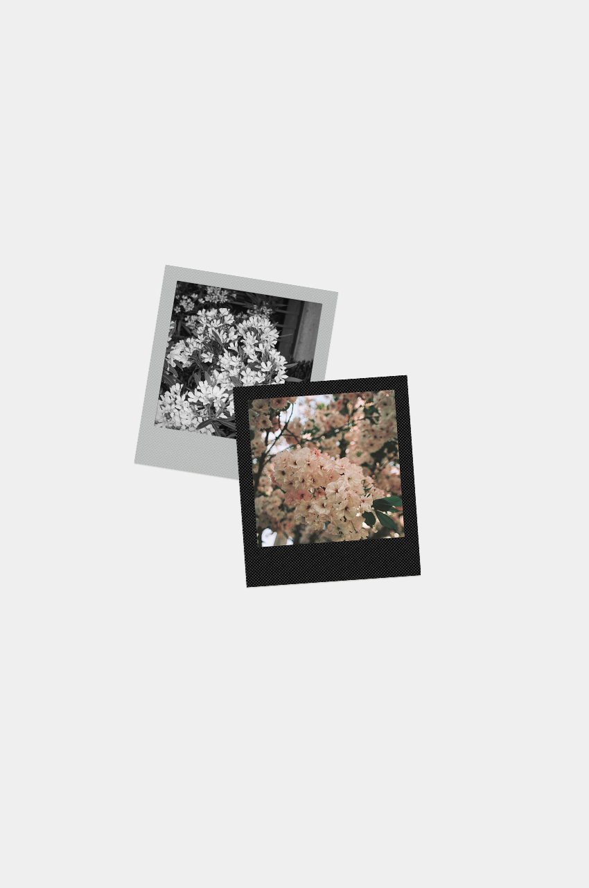 25x Foto Square Look
