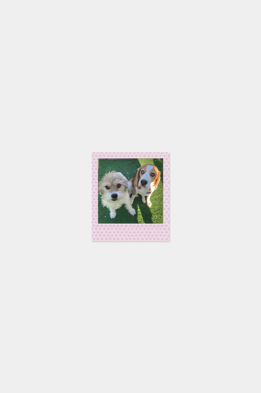 Imán Square Look Perrito Edition