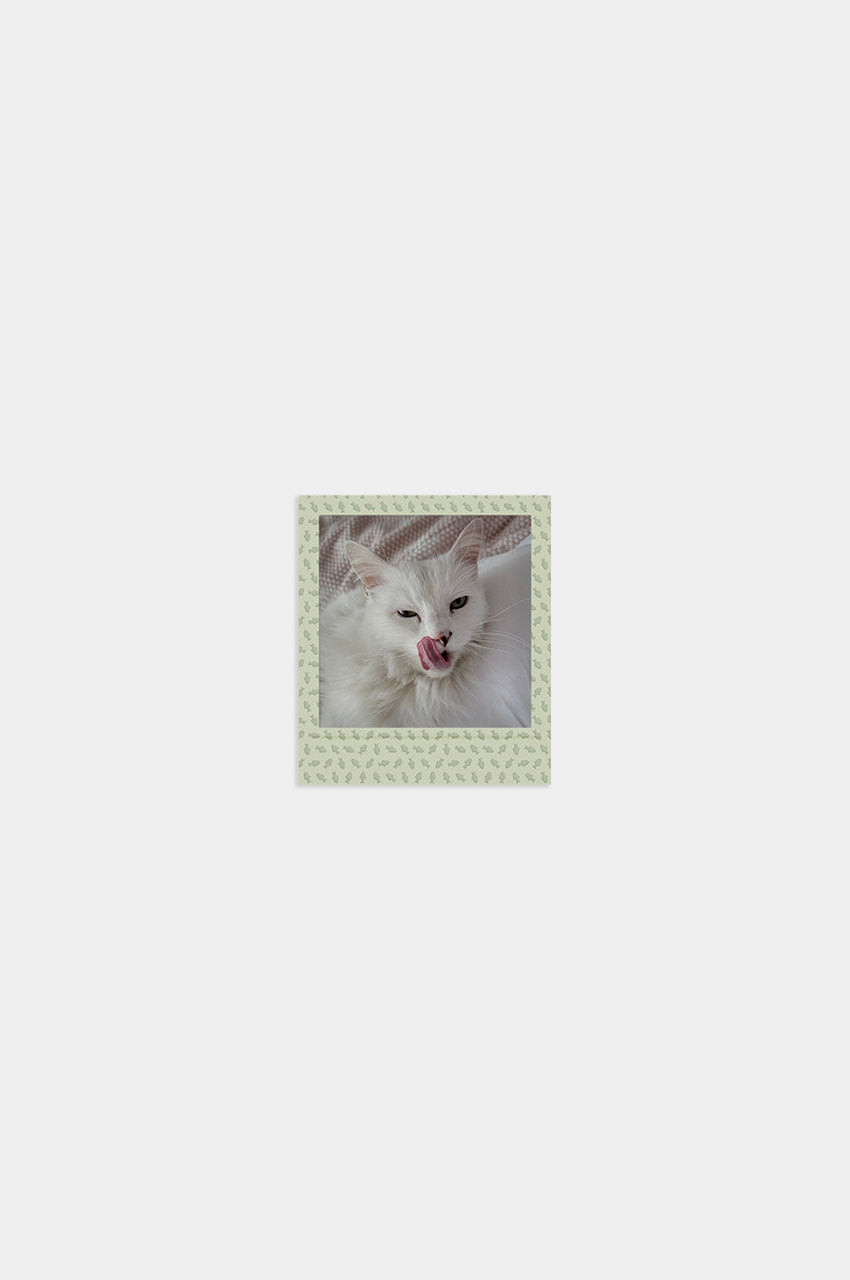 Foto Square Look Gatito Edition