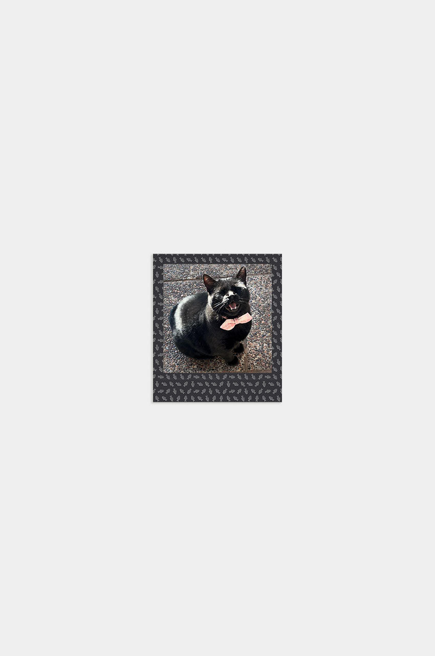 Foto Square Look Gatito Edition