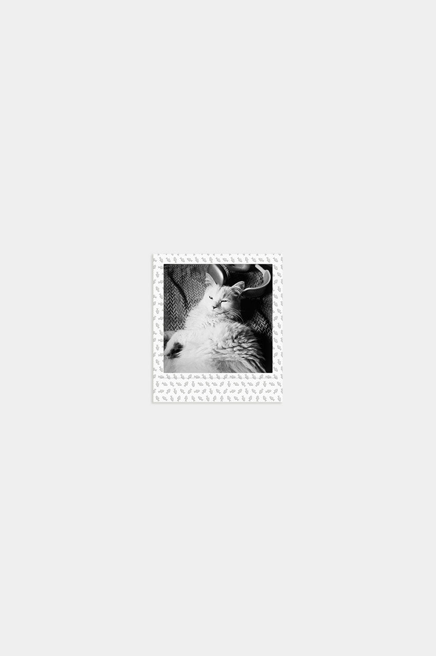 Foto Square Look Gatito Edition