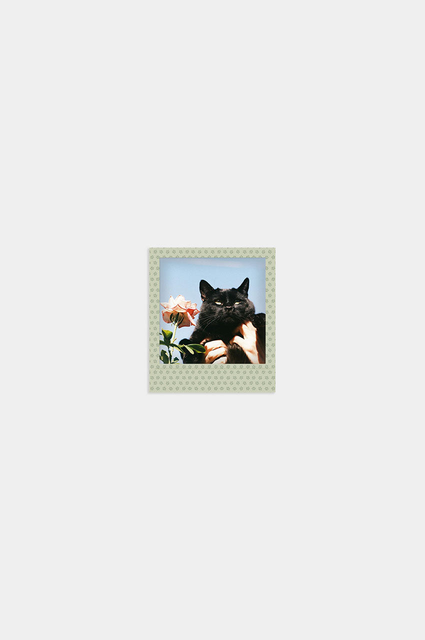 Foto Square Look Gatito Edition
