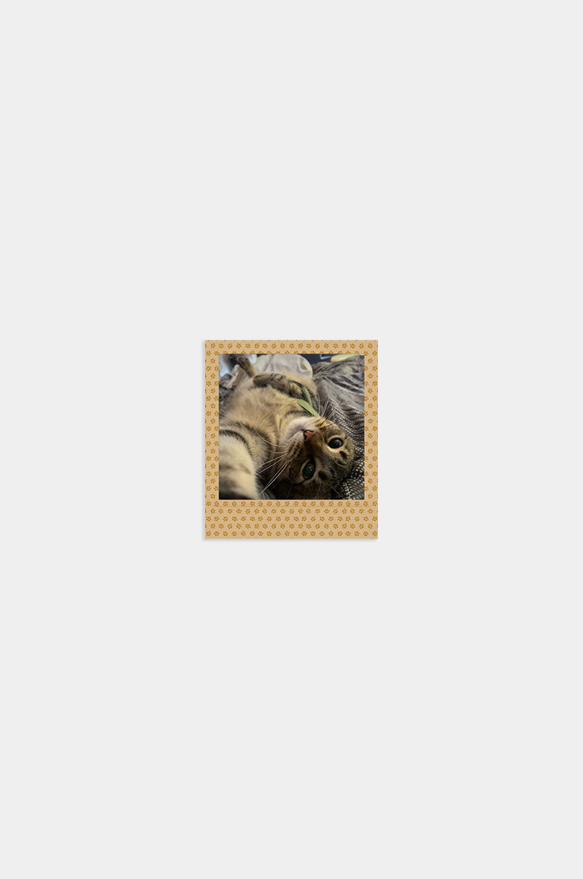 Foto Square Look Gatito Edition