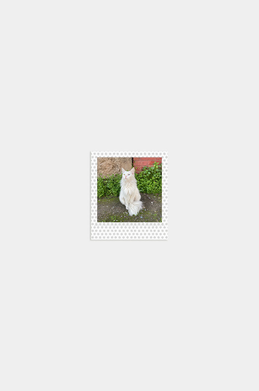 Foto Square Look Gatito Edition