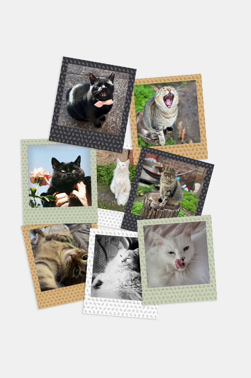 Foto Square Look Gatito Edition