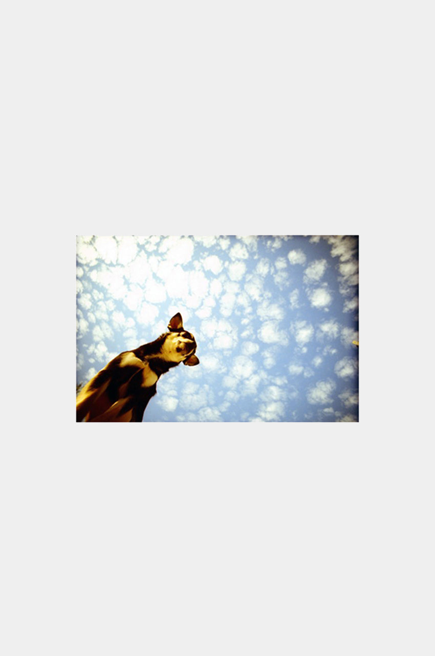 LOMO LC-Wide