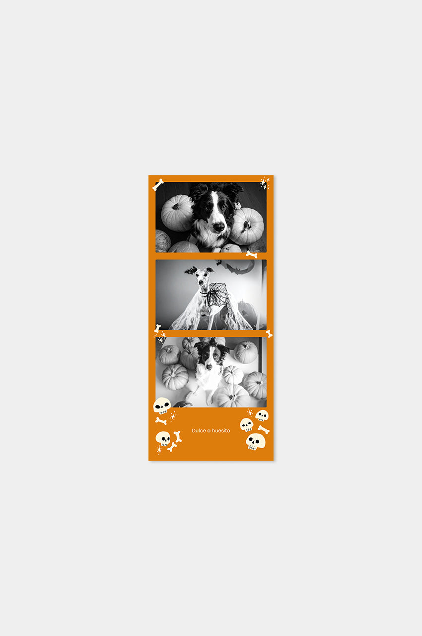 4x Fotomatón Migoween Edition con texto
