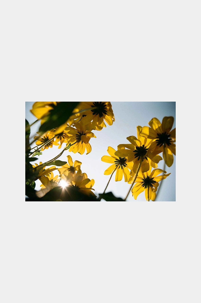 Kodak Color 100 35mm 36 exp.