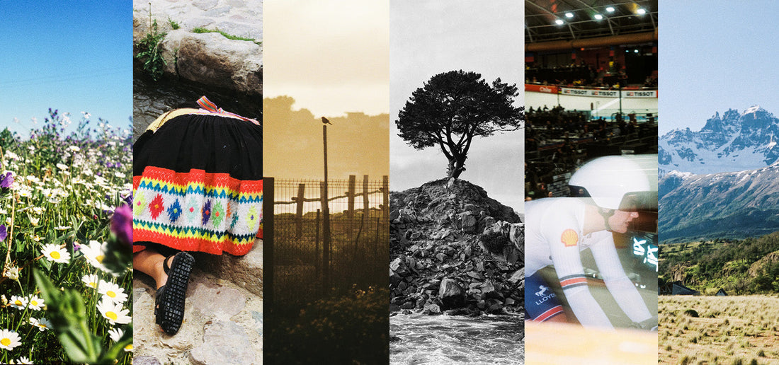 Selección mensual - Noviembre y Diciembre 2025