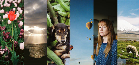 Selección mensual - Octubre 2025