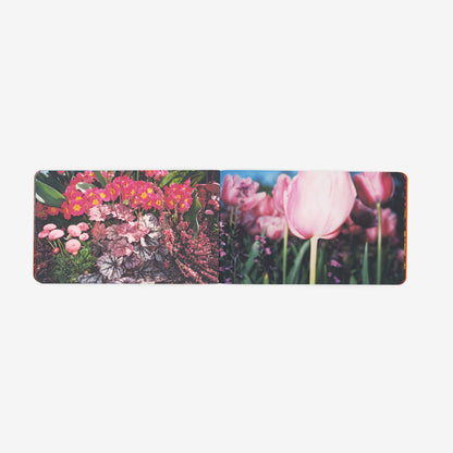 Colección del Metalibro - Paola Velasquez (8)