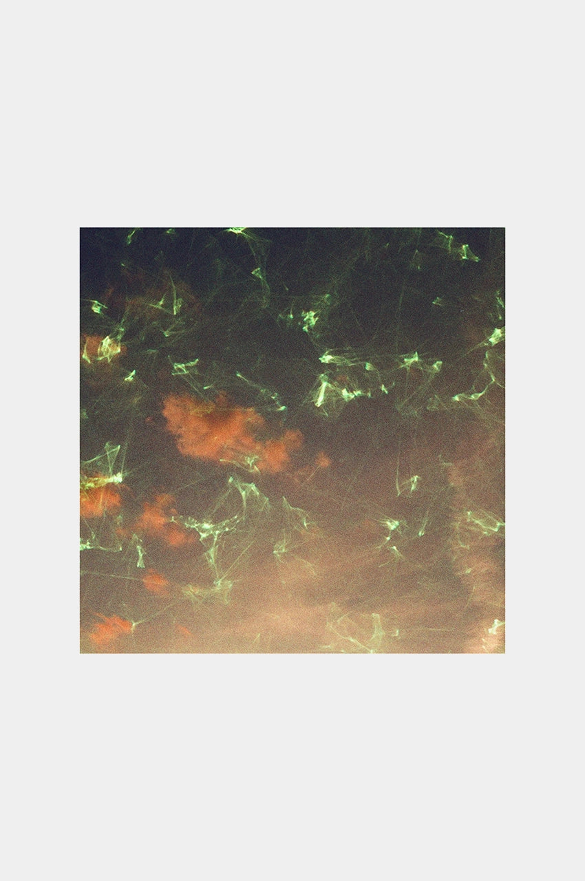 Revelog - Emerald Ltd. Edition 35 mm