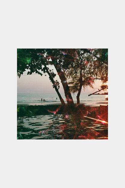 Revelog - Echo Rollo 35mm 200 ISO