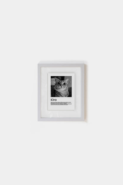 Marco Gatito Entre Vidrios 15x21