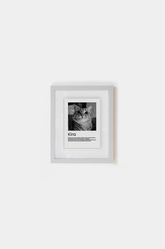 Marco Gatito Entre Vidrios 15x21