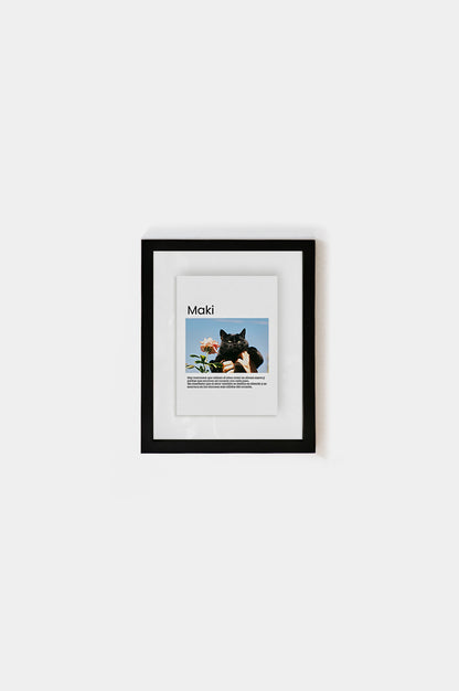 Marco Gatito Entre Vidrios 15x21