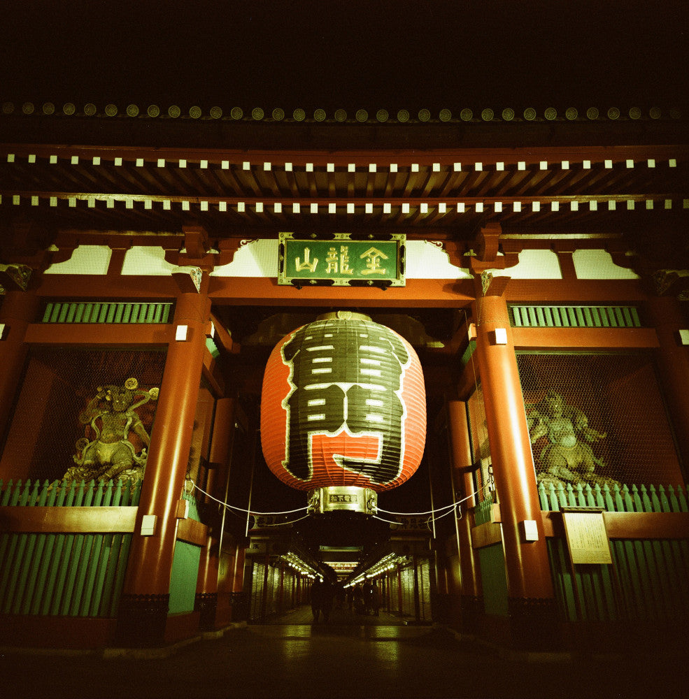 Lomochrome Metropolis 120