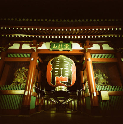 Lomochrome Metropolis 120