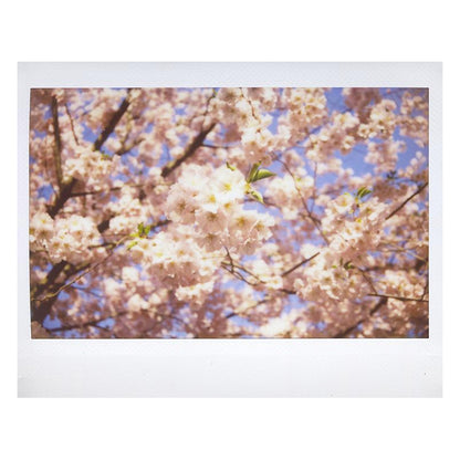 Camara Instax Wide 300