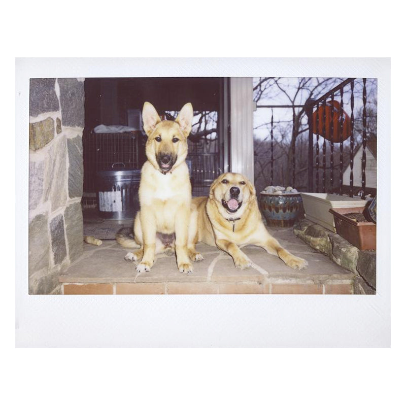 Camara Instax Wide 300