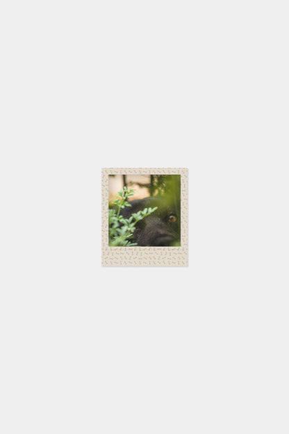 Foto Square Look Perrito Edition