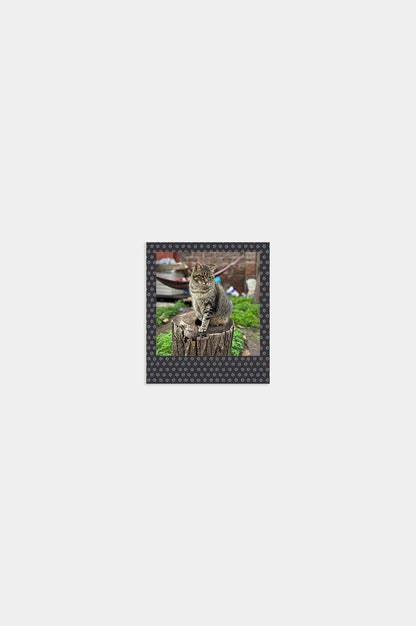 Foto Square Look Gatito Edition