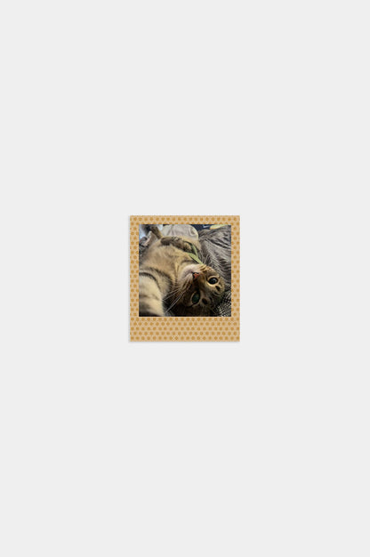 Foto Square Look Gatito Edition