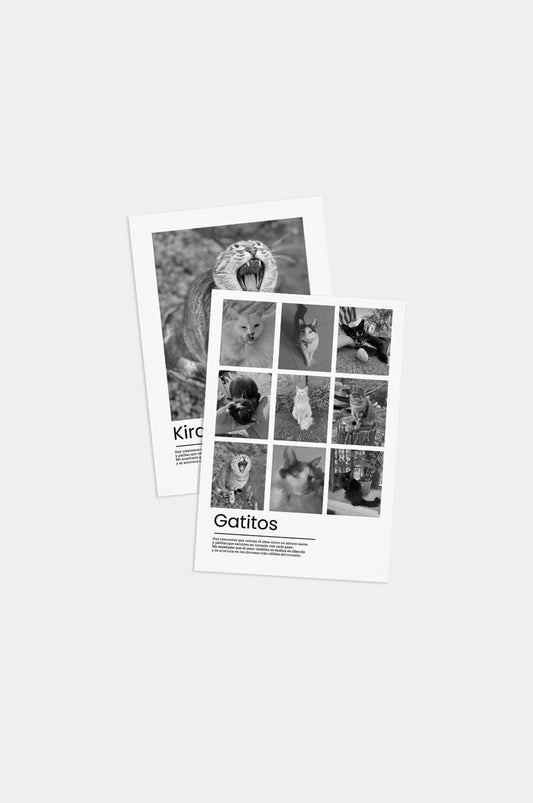 Poster Gatito 21x30