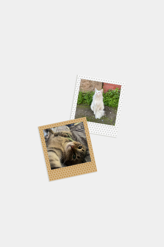 Foto Square Look Gatito Edition