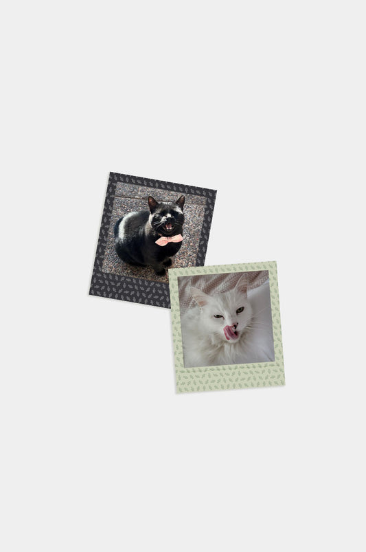 Imán Square Look Gatito Edition