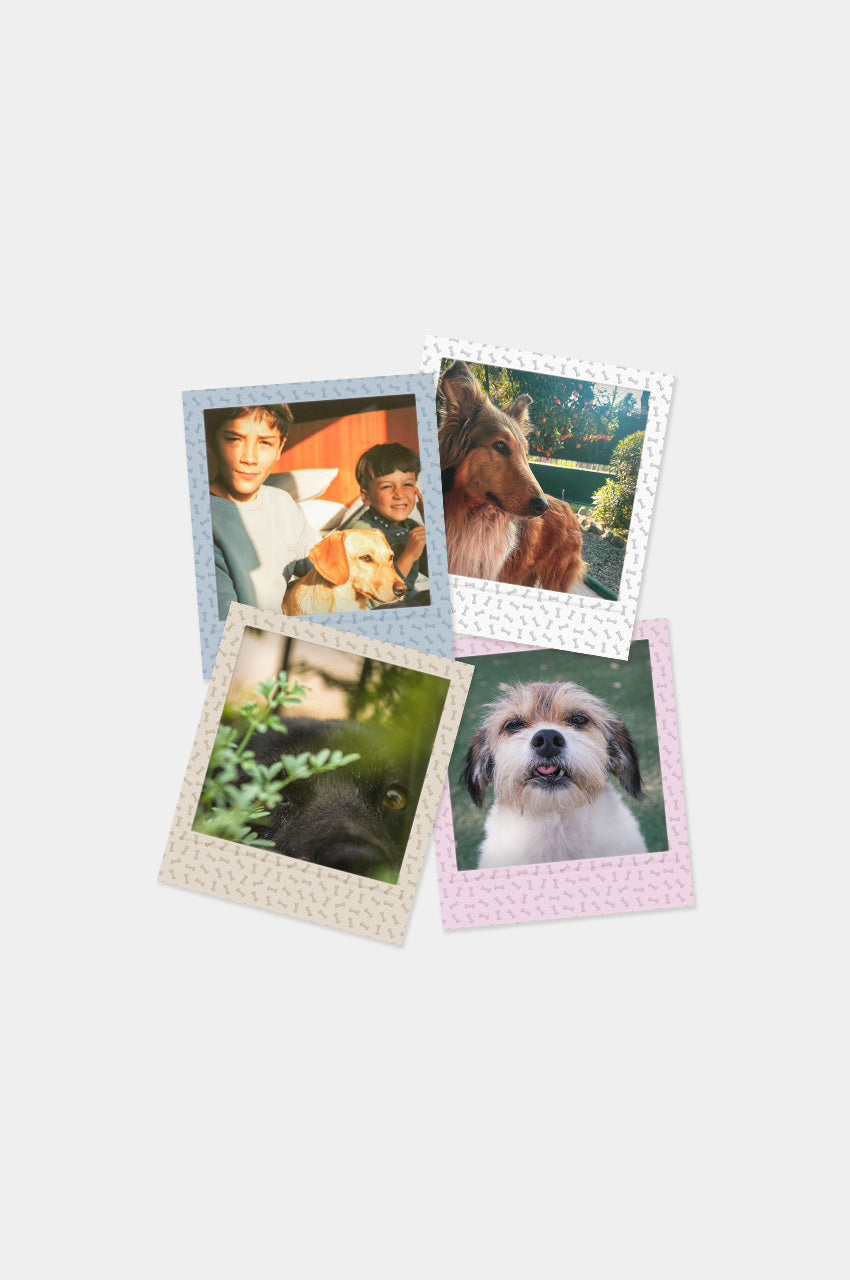 Foto Square Look Perrito Edition