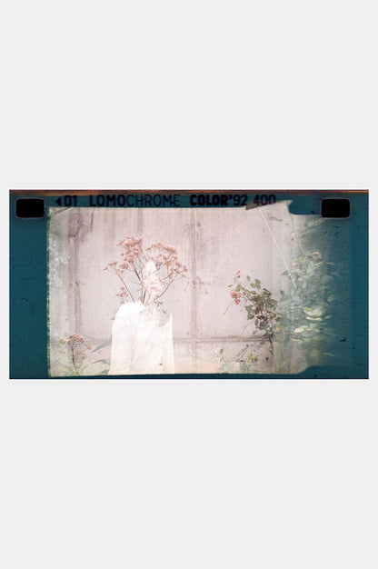 LomoChrome Color 92 Sun-Kissed 110 ISO 400