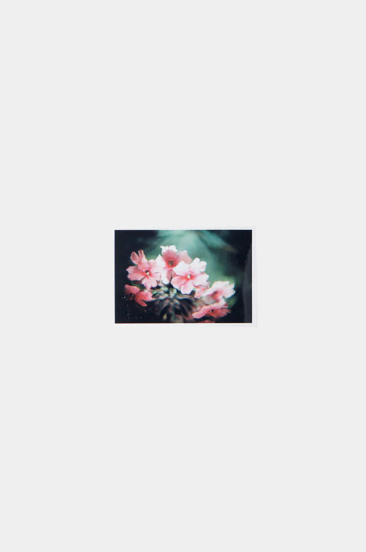 Foto Imán 9x13
